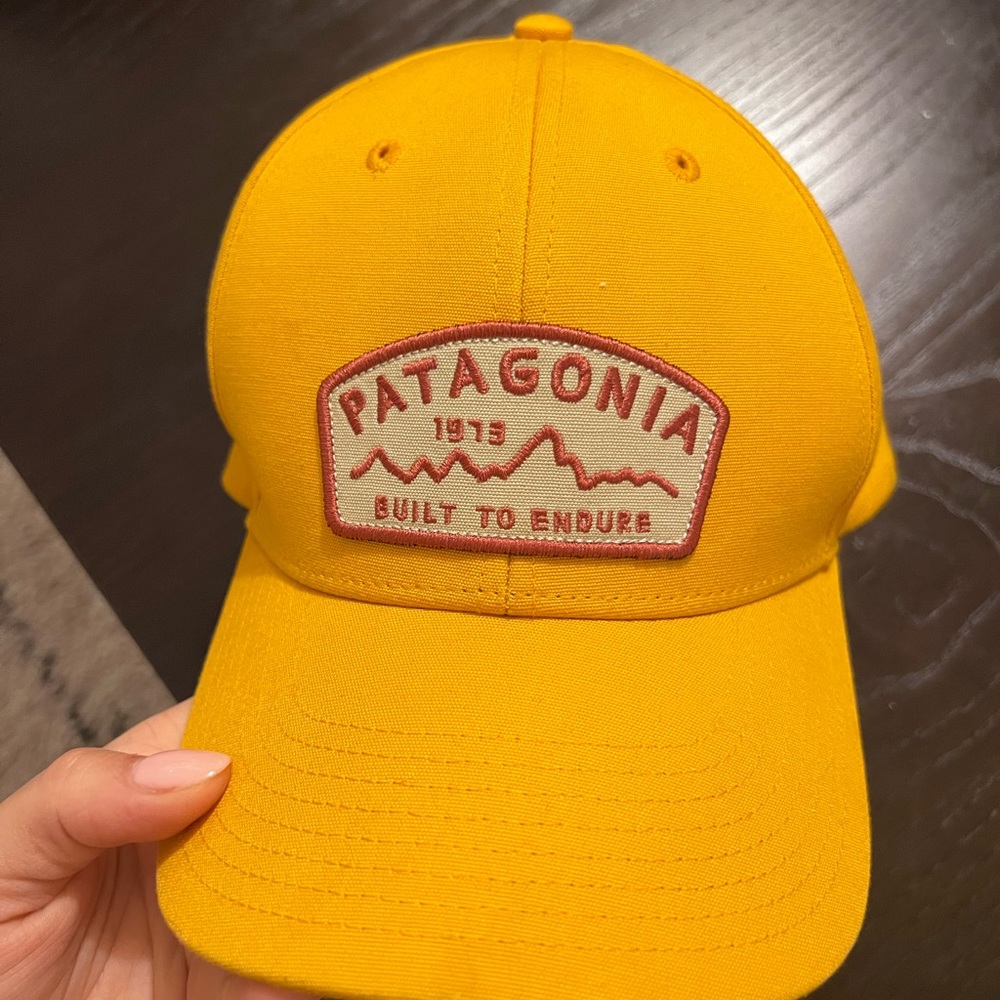 Patagonia Built to Endure Hat